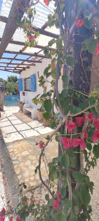 Sweet Old House Apartment Marsala Exterior foto
